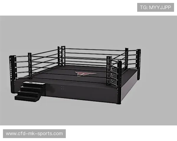 拳击擂台上出现罕见的“技战术美学”回合